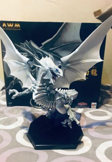 青眼白龙！嗷！