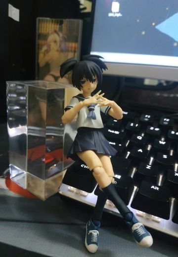 麻陶这只也是很帅的