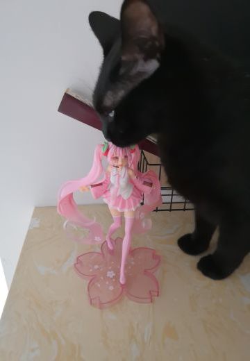 入手的几款初音