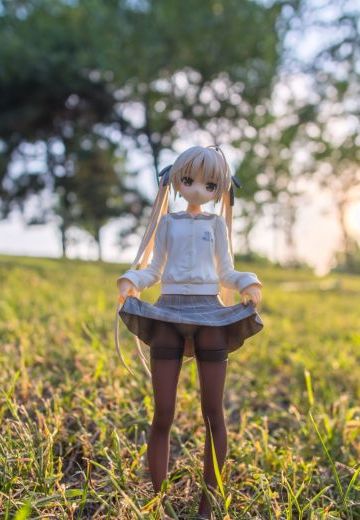 夏日·树林露出