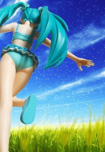 随风奔跑自由是方向