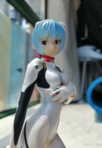 老物绫波丽，半张毛爷爷收的