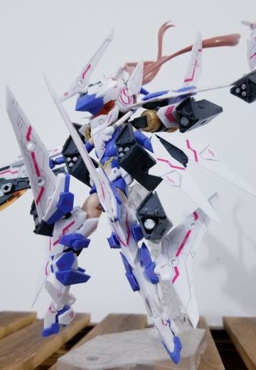 猛禽 小迷糊 Raptor！（最霸气的女神装置）