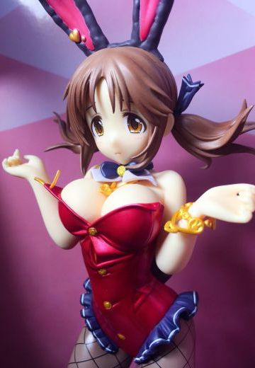 狗屋 十时爱梨 兔女郎 渣拍