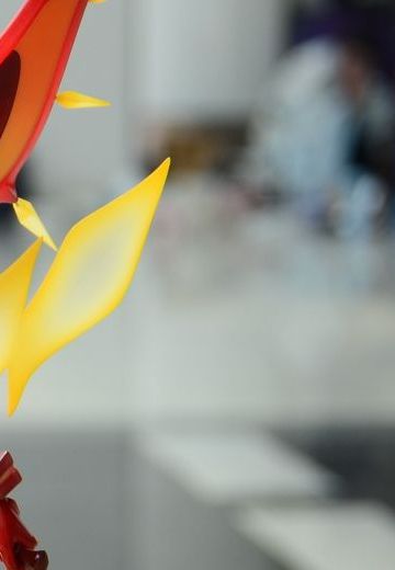 带到漫展粗略拍一下