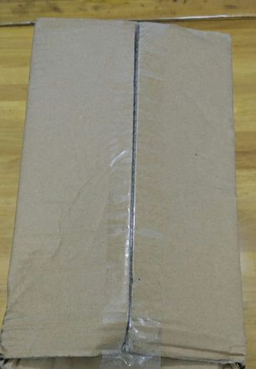 SEGA --- RE：从零开始的异世界生活 艾米莉娅 Dragon Dress Ver. 收验