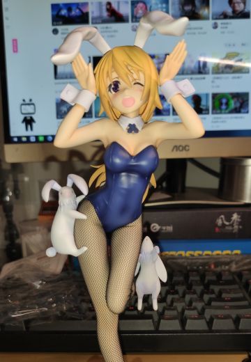 请问今天要来点兔子吗