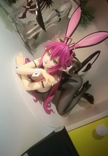 今天刚到货的兔女郎⊙ω⊙