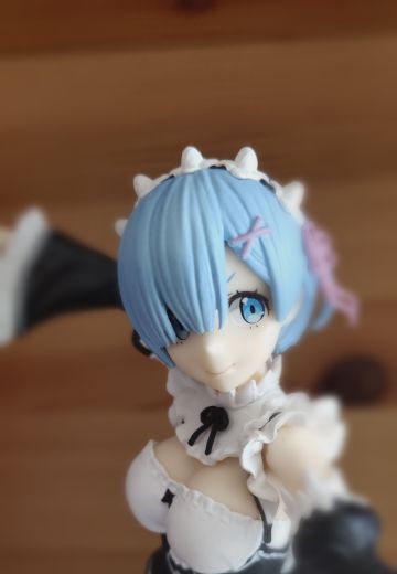 System Service 蕾姆