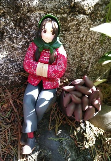 身残志坚的宝儿姐祝大家新年快乐