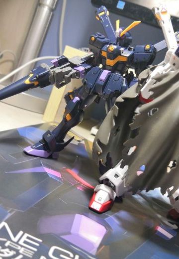 RG 海盗x2