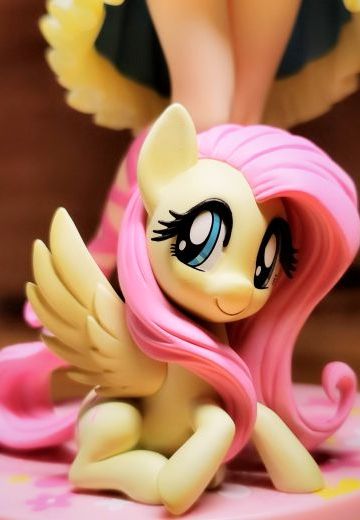 fluttershy
