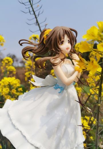 偶像大师灰姑娘