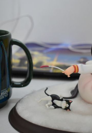 为什么这只梓喵没人