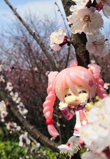 春天来了，一起去看花吧！