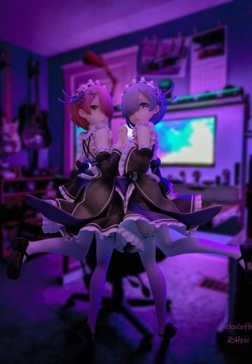 我家的双胞胎女仆