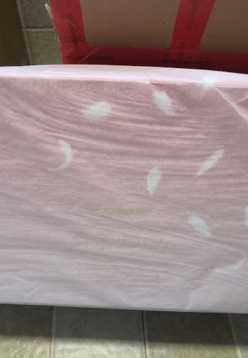 N社 仓本艾丽卡 兔女郎