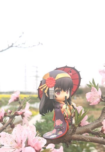 家后边的桃花开了，来划波水