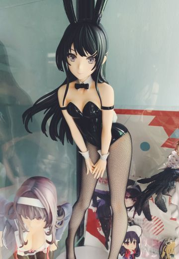 hpoi实体偶然看到就买了 是真的大