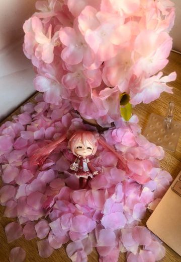 粘土#500 樱花未来    樱花初音未来