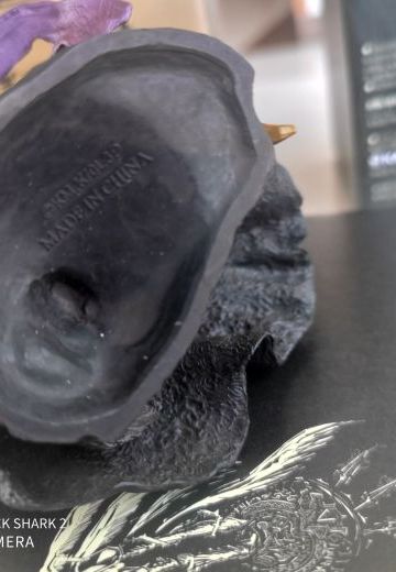 第十四卷特装版手办