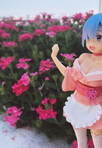 带蕾姆出去玩👌