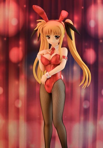 菲特泰斯塔罗莎兔女郎