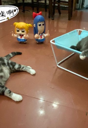 现在谁是家里的新老大