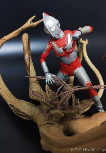 再版shf杰克到货氵