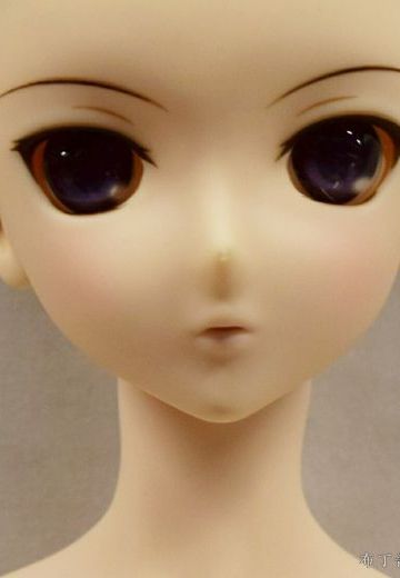 Volks DD 魔法使之夜 久远寺有珠