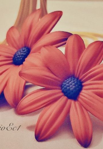 给前男友的礼物😅