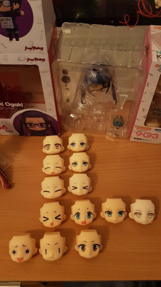 粘土人脸型对比