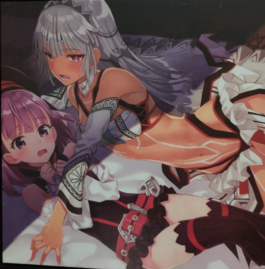 晚到的fgo海伦娜特典版