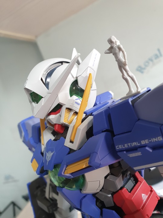 Perfect grade Gundam Exia