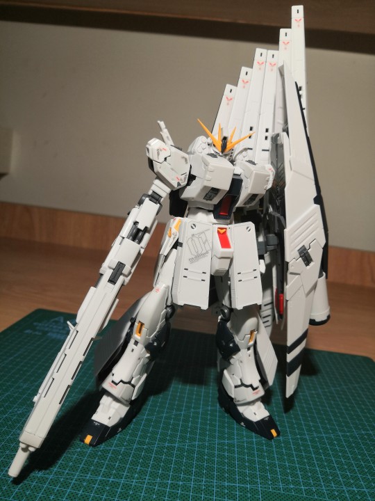 RG 牛 hws