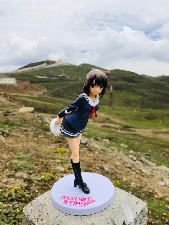 加藤惠的青海湖之旅