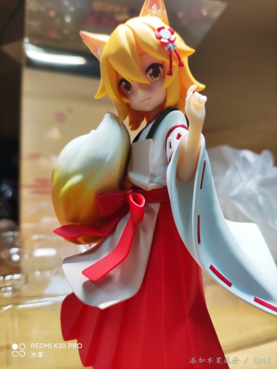 本家订的仙狐狐