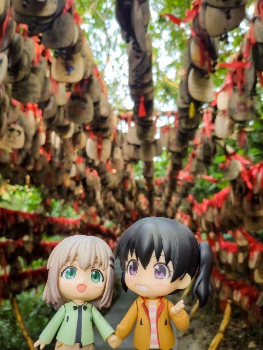 摇曳登山🧗‍ ❌ 向山露营⛺