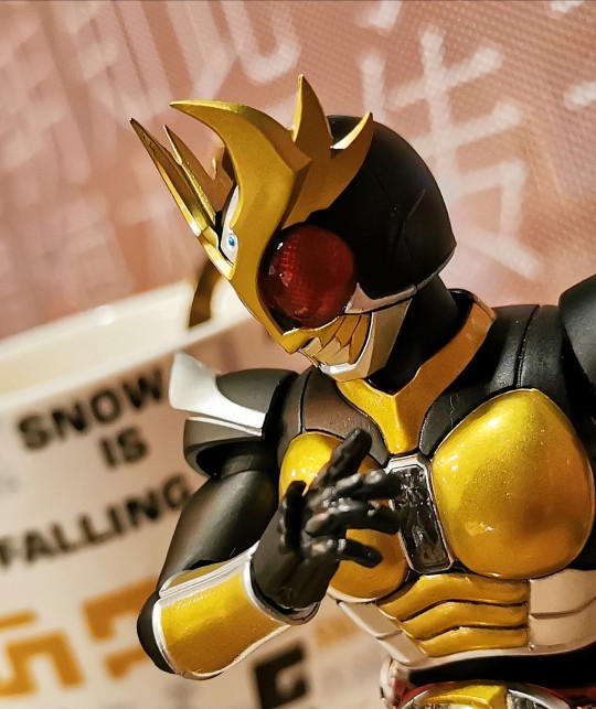 S.H.F 真骨雕 假面骑士亚极陀