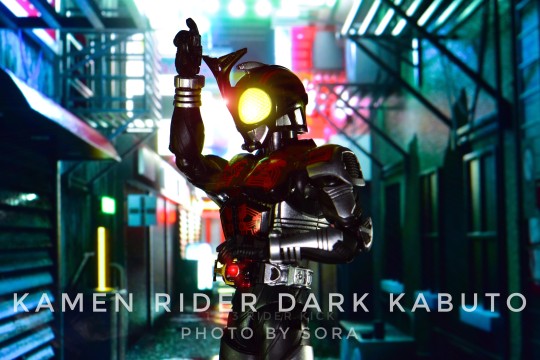 早年拍的黑甲斗