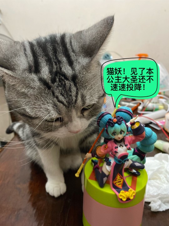 白天不能开车😂😂