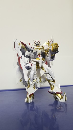 RG  金异端·天 哈娜