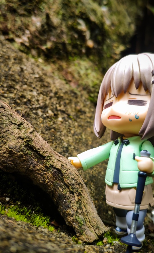 继续进发🏔（2）