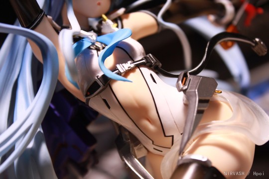 花椰菜 各务原安昙