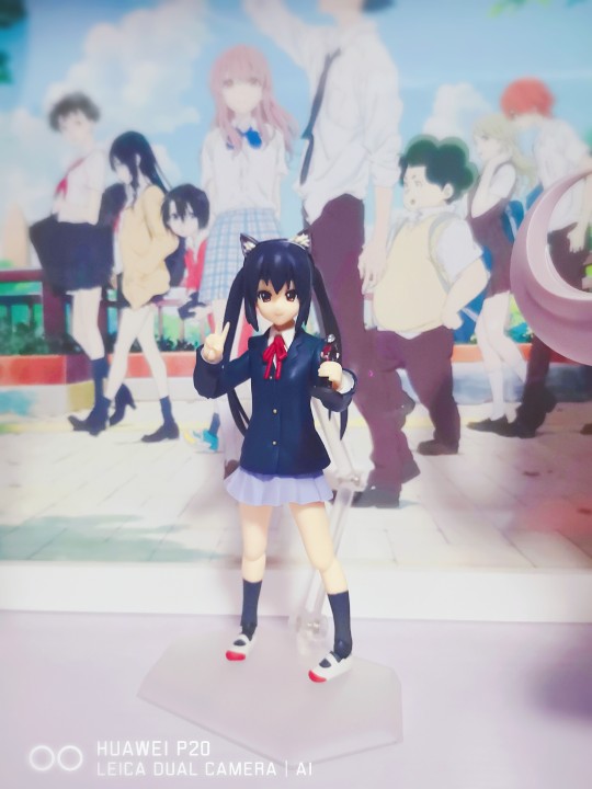 拿着生日礼物的阿梓喵