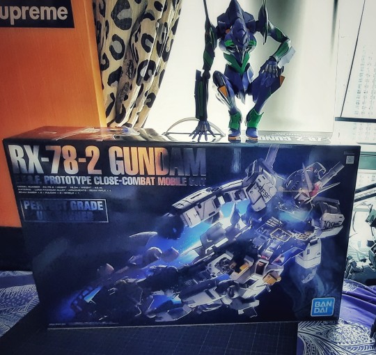 最好的聖誕節禮物 PG Unleashed RX-78 -2