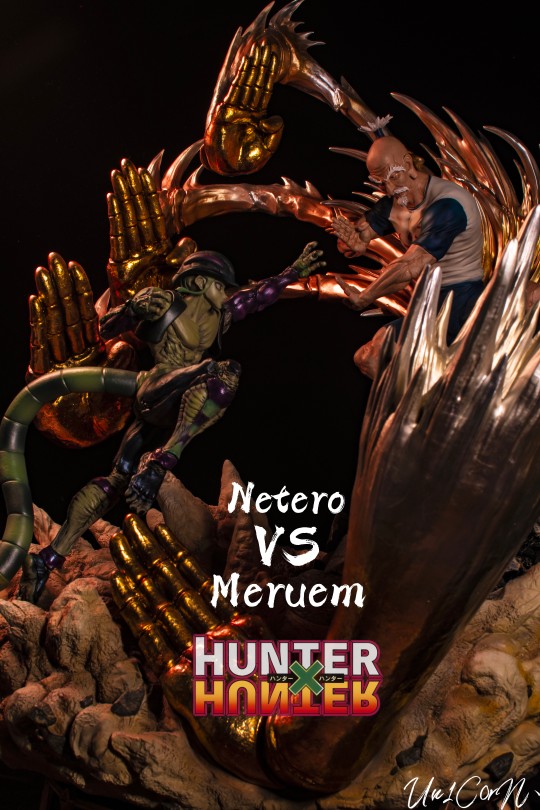 尼特罗vs梅路艾姆