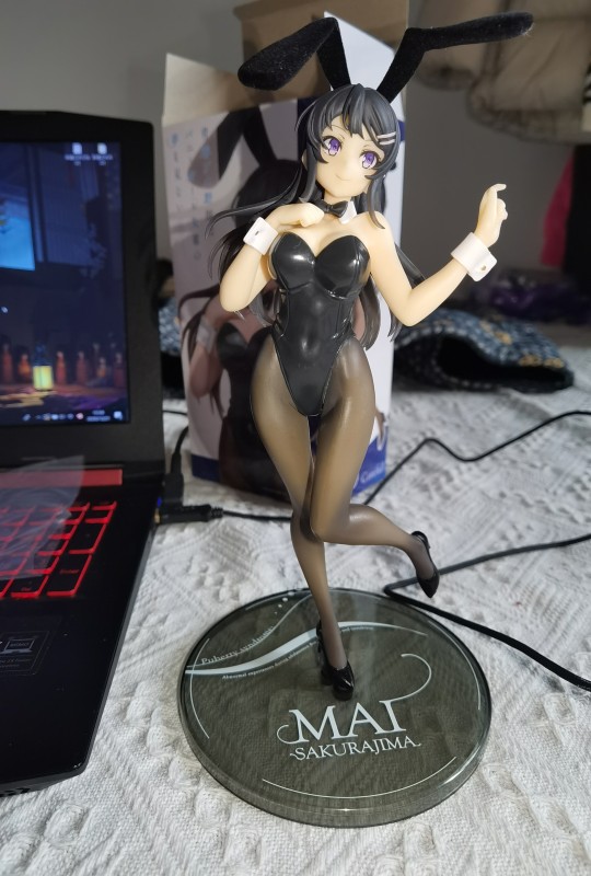 盆骨骨裂。麻衣兔女郎