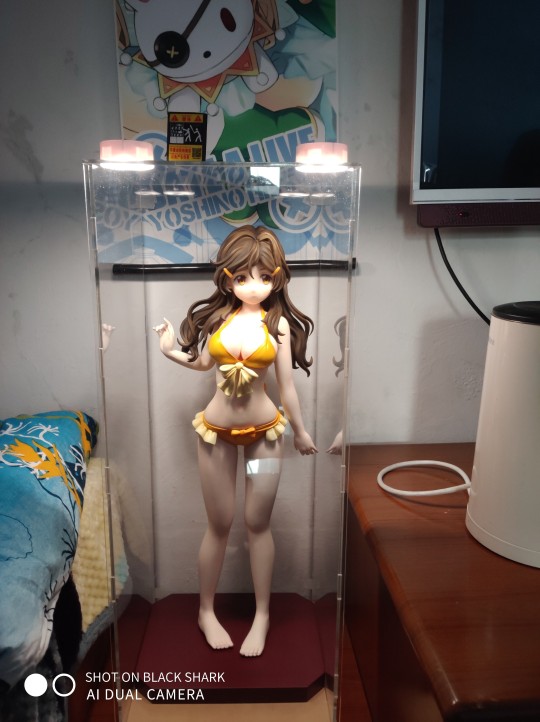 四宫向日葵1/2.5