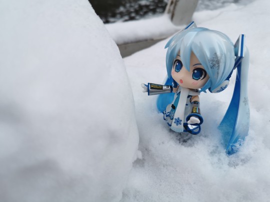 年前的冬日初雪